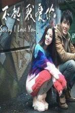 Sorry I Love You (2013)