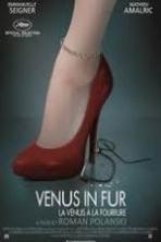 Venus in Fur (2013)