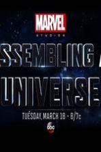 Marvel Studios: Assembling a Universe ( 2014 )