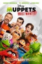 Muppets Most Wanted ( 2014 )