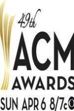The 49th Annual Academy of Country Music Awards 2014 (2014)