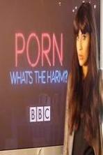 Porn Whats The Harm (2014)