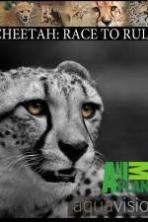 Cheetah: Race to Rule (2014)
