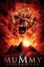 The Mummy Resurrected ( 2014 )