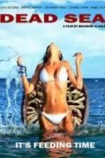 Dead Sea (2014)