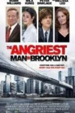 The Angriest Man in Brooklyn (2014)