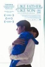 Like Father, Like Son (2013)