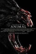 Animal ( 2014 )