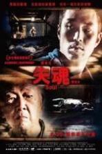Soul (2013)