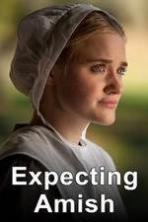 Expecting Amish ( 2014 )