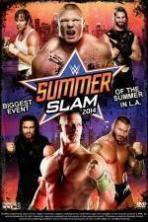 WWE Summer Slam ( 2014 )