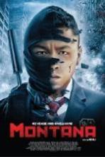 Montana (2014)