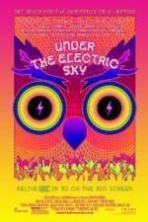 Under the Electric Sky (2014)
