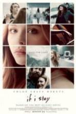 If I Stay ( 2014 )