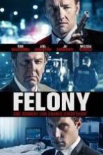 Felony (2014)