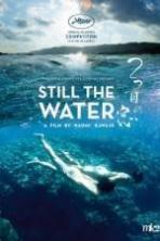 Still the Water (2014)