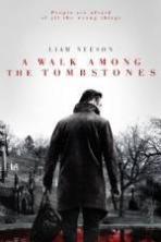 A Walk Among the Tombstones ( 2014 )