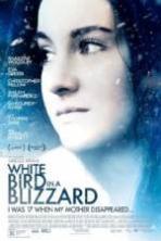 White Bird in a Blizzard ( 2014 )