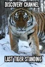 Discovery Channel-Last Tiger Standing (2014)