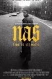 Nas: Time Is Illmatic (2014)