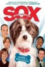 Sox ( 2013 )