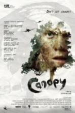 Canopy ( 2014 )