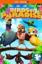Birds of Paradise ( 2014 )