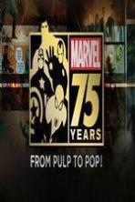 Marvel 75 Years: From Pulp to Pop! (2014)