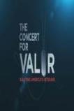 The Concert for Valor (2014)