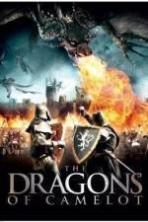 Dragons of Camelot ( 2014 )