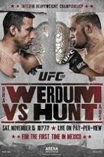 UFC 180: Werdum vs. Hunt (2014)