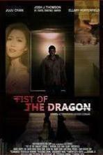 Fist of the Dragon (2014)