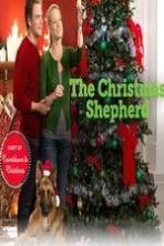 The Christmas Shepherd (2014)