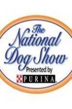 National Dog Show (2014)