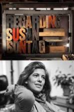 Regarding Susan Sontag (2014)