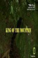 King of the Mountain ( 2014 )