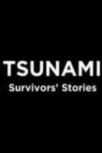 Tsunami Survivors Stories (2014)