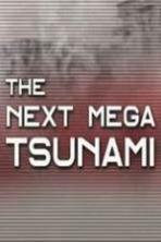 National Geographic: The Next Mega Tsunami ( 2014 )