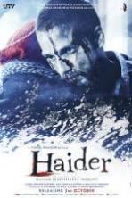 Haider ( 2014 )