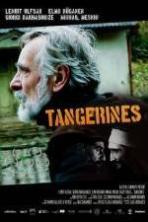 Tangerines ( 2013 )