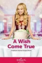 A Wish Comes True (2015)