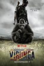 Virunga ( 2014 )
