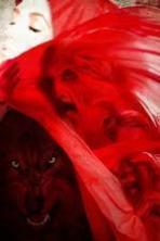 Little Red Riding Hood (2015)