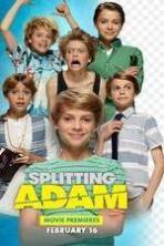 Splitting Adam ( 2015 )