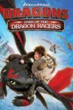 Dragons Dawn of the Dragon Racers (2014)