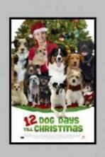 12 Dog Days Till Christmas ( 2014 )