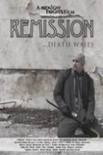Remission (2014)