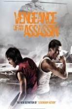 Vengeance of an Assassin (2014)