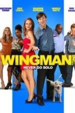 Wingman Inc (2015)