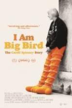 I Am Big Bird: The Caroll Spinney Story ( 2014 )